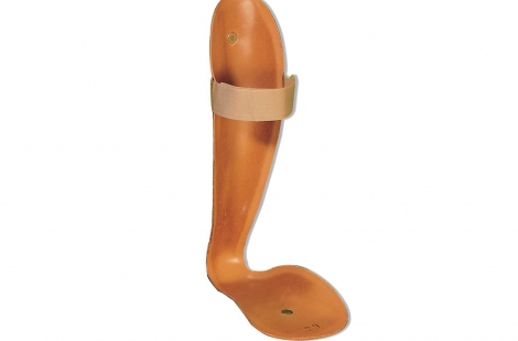 Molle di Codivilla Molle di Codivilla