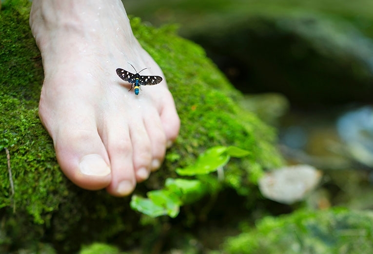 Il piede cadente Il piede cadente