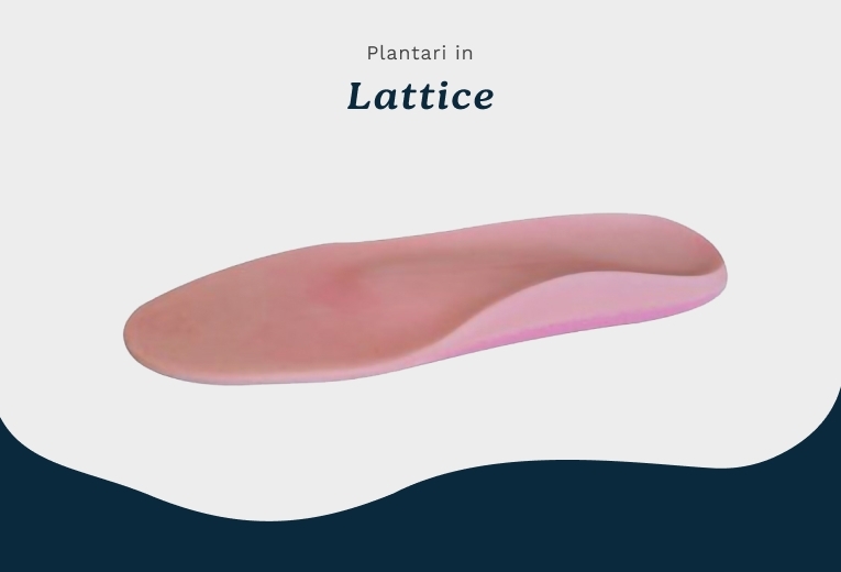 Plantari in Lattice Corazza Plantari in Lattice Corazza